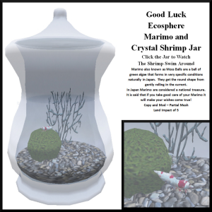 J 04) Marimo and Crystal Shrimp Jar Ad